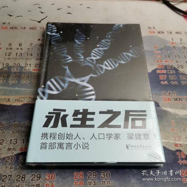 永生之后（携程创始人、人口学家梁建章首部寓言小说，作家六六推荐！人类到底应不应该选择永生？全书配18幅原创插图）