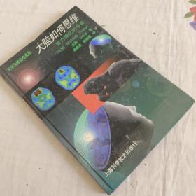 大脑如何思维:智力演化的今昔