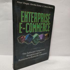 ENTERPRISE E-COMMERCE