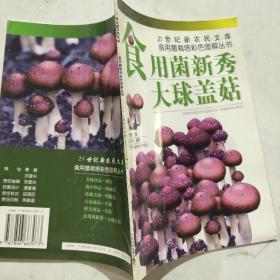 食用菌新秀——大球盖菇