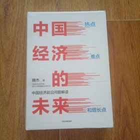 中国经济的未来：热点、难点和增长点