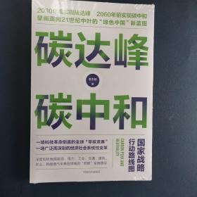 碳达峰碳中和：国家战略行动路线图 袁志刚 循环经济 低碳经济 环境气候