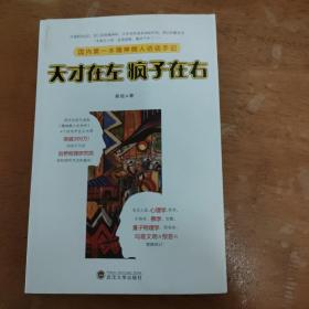 天才在左 疯子在右：国内第一本精神病人访谈手记