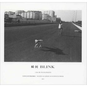 瞬间 BLINK