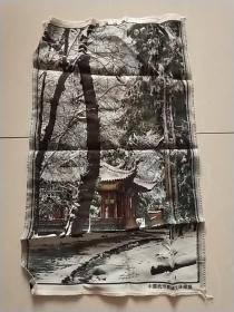 50年代杭州丝绸画 :灵隐瑞雪