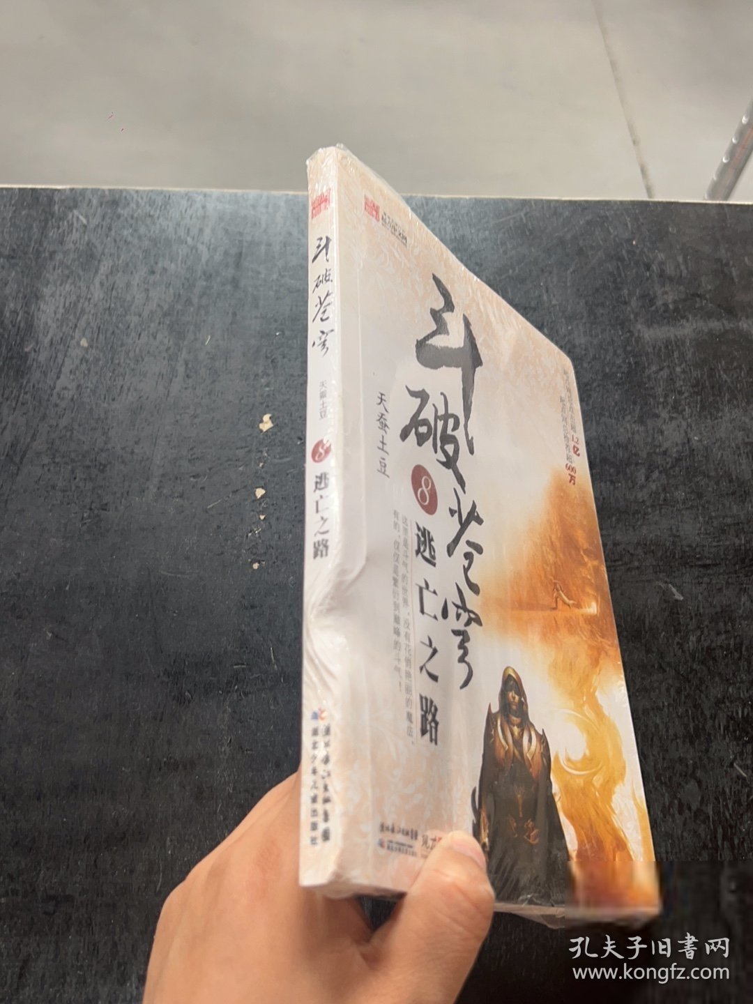 斗破苍穹8逃亡之路