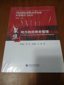 中国政府预算改革发展年度报告2020：聚焦地方政府债务管理