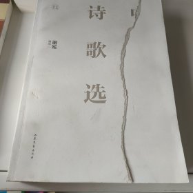 中国百年诗歌选