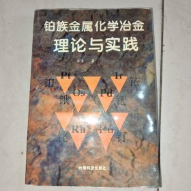 铂族金属化学冶金理论与实践