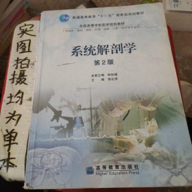 系统解剖学