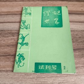 《灯谜世界》试刊号2