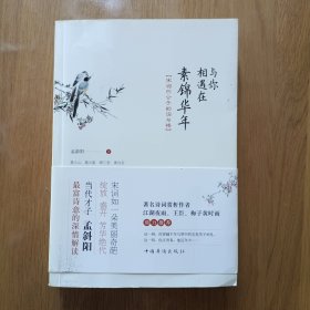 与你相遇在素锦华年：宋词四公子的词与情