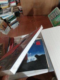 经典•传承2020中国青年新写实绘画艺术大展作品集