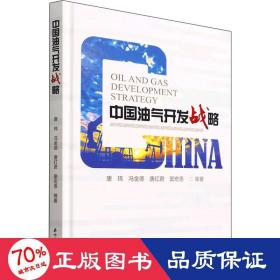 中国油气开发战略 能源科学 唐玮 等