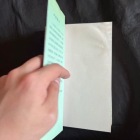 静静的艾敏河