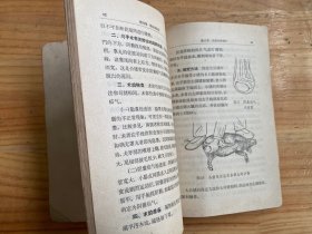 中国民间畜禽阉割术