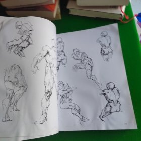 伯里曼人体结构绘画教学