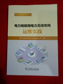 电力物联网电力无线专网运维实践