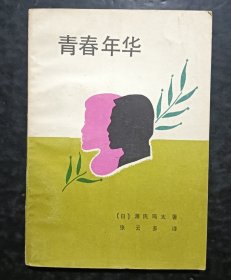 青春年华