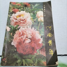河南青年