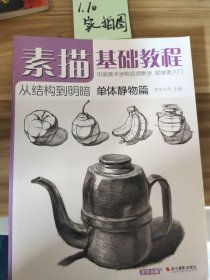 素描基础教程 美学大师 主编 著  