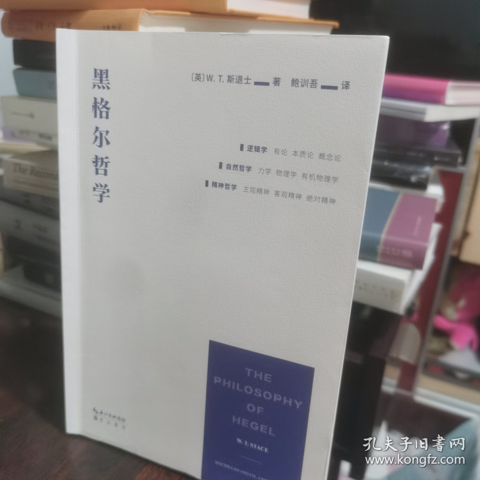 黑格尔哲学（以一册的篇幅，展现黑格尔体系的全貌）