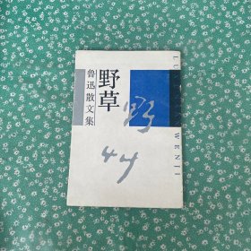 鲁迅散文集《野草》
