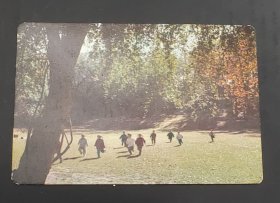 1973年 年历卡 孤山秋色