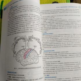 神经病学(第7版) 贾建平/本科临床/十二五普通高等教育本科国家级规划教材(内页新，无笔迹划线)