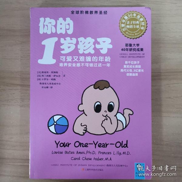 你的1岁孩子：可爱又难缠的年龄，培养安全感不可错过这一年