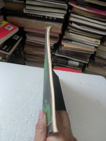 沈文江画集(作者签名印章)如图