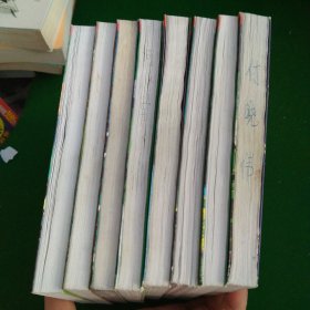 挺进版冒险小虎队，海怪的火眼带毒的护身符，赛场凶魔无人小屋的炊烟，悬崖上的谎言穿越魔鬼沼泽，步步惊心河盗墓贼，别靠近郊外灰色别墅午夜幽灵密会，太空走来蓝色怪人人皮面具，地下13米的土牢海湾绝命杀手，夺命木乃伊十字架下第三只手8本