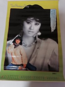 1995年天皇巨星.挂历（塑膜）