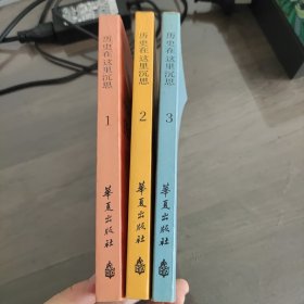 历史在这里沉思 共三卷