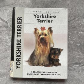 约克郡犬  Yorkshire terrier