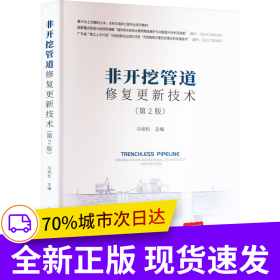 非开挖管道修复更新技术（第2版）