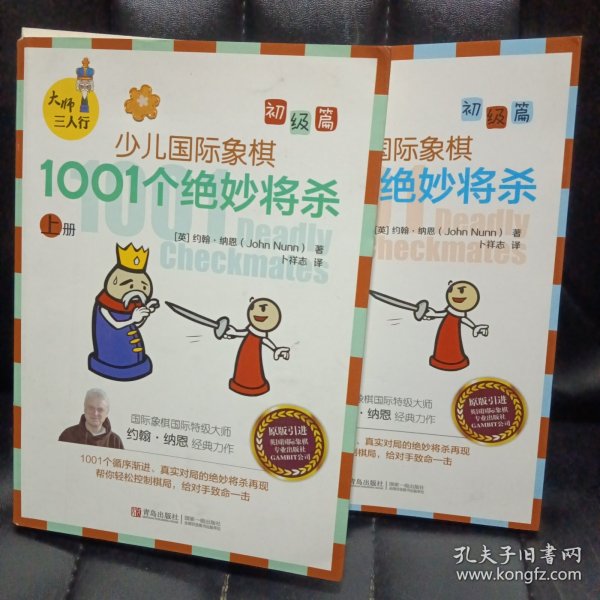 大师三人行：少儿国际象棋初级篇：1001个绝妙将杀（上下册）