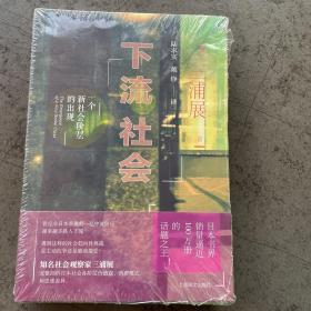 下流社会—一个新社会阶层的出现