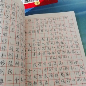 钢笔行书字帖。