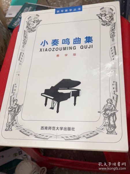 21世纪钢琴教学丛书：小奏鸣曲集（教学版）
