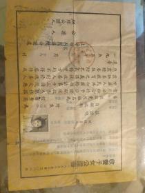 1955年收养子女公证书