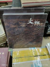 T  大地 王剛油畫 （12開  未拆封 全新正版