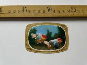 （满100包邮）1983年年历卡，红头金鱼，凹凸版