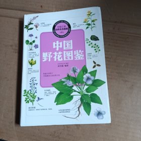 中国之美·自然生态图鉴：中国野花图鉴
