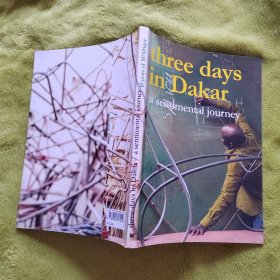 Three days in dakar a sentimental journey