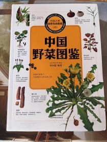 中国之美自然生态图鉴 中国野菜图鉴
