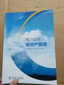 电力企业碳资产管理【16开】