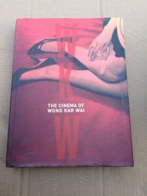 WKW：The Cinema of Wong Kar Wai