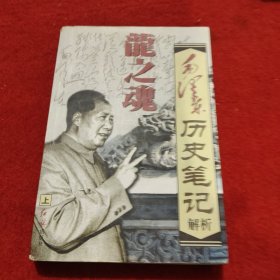 龙之魂毛泽东历史笔记解析