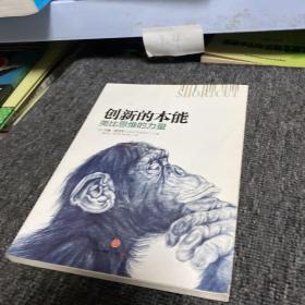 创新的本能：类比思维的力量